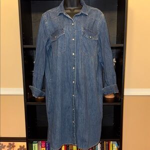 GAP Denim Button-Up Shirt Dress
